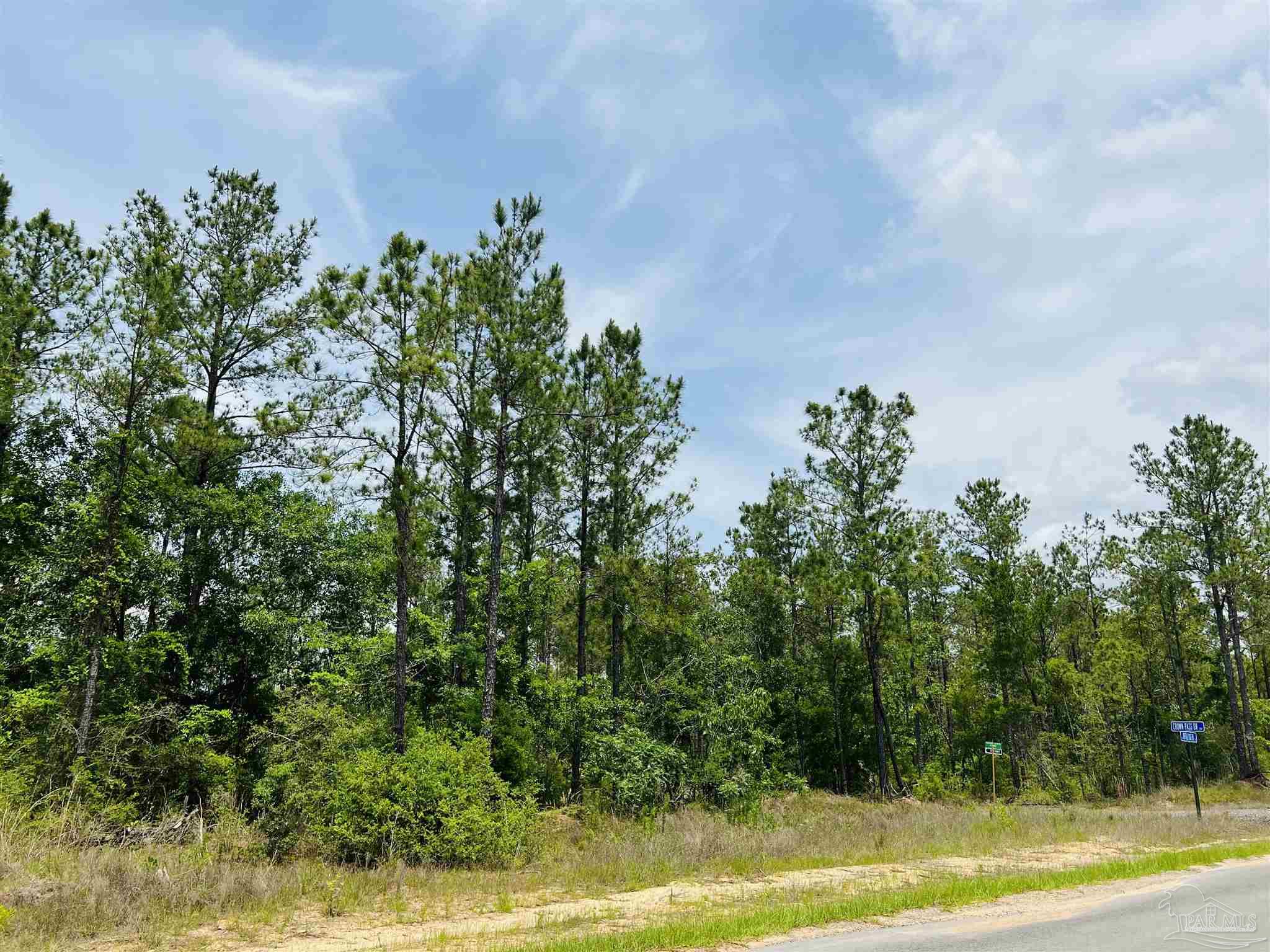 Lot 35 Buffalo Ridge Road Pace, FL 32571 - Photo 7 of 31