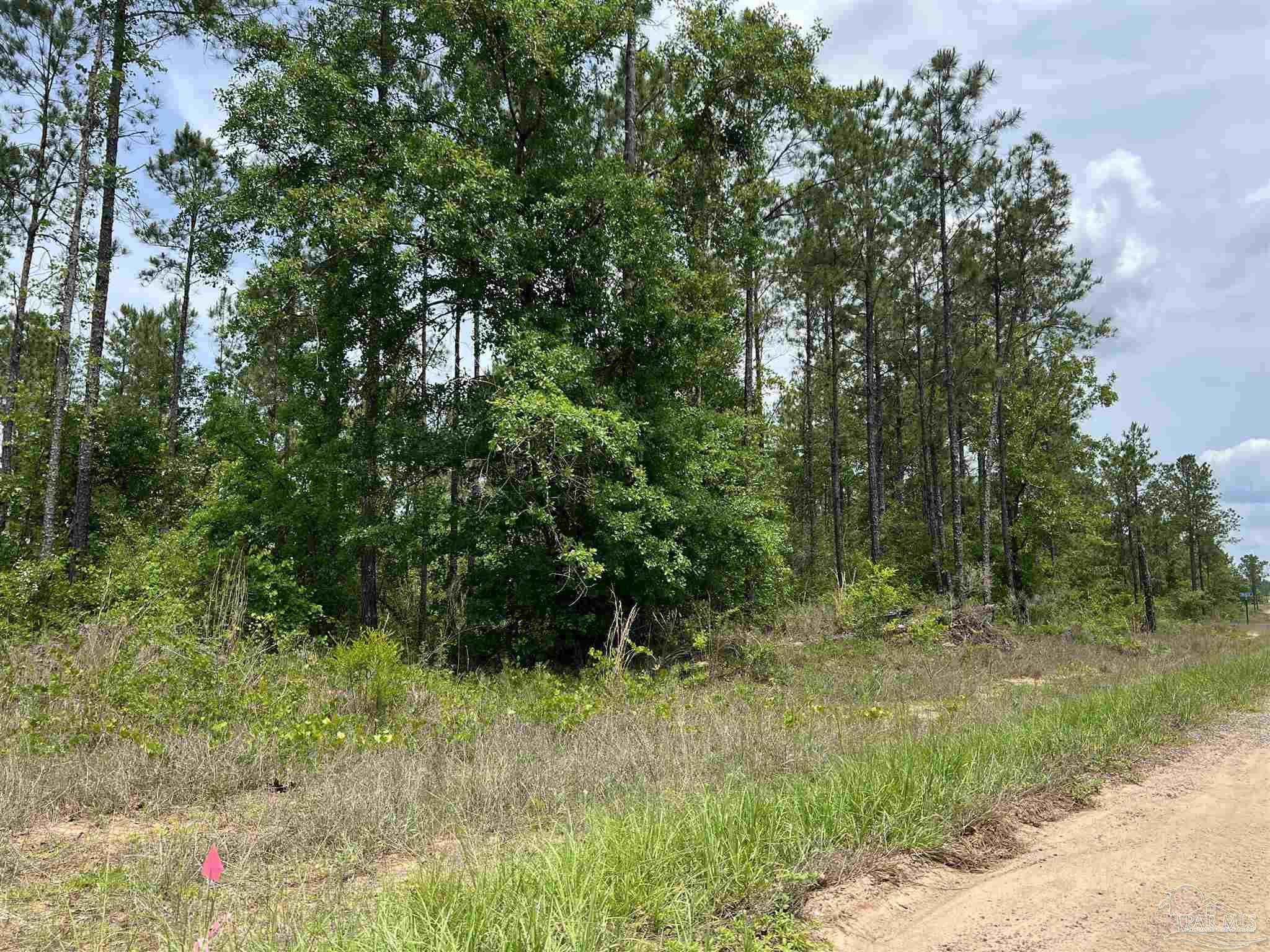 Lot 35 Buffalo Ridge Road Pace, FL 32571 - Photo 8 of 31