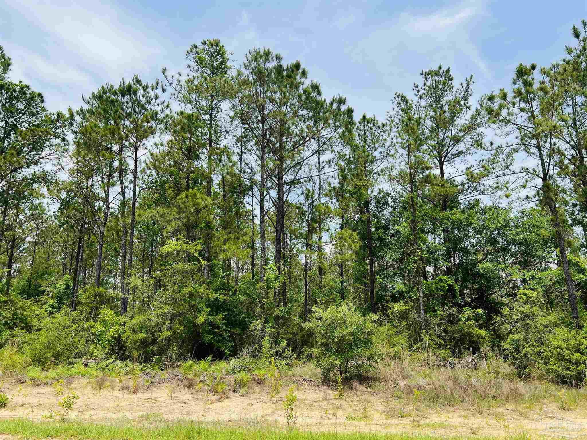 Lot 35 Buffalo Ridge Road Pace, FL 32571 - Photo 9 of 31