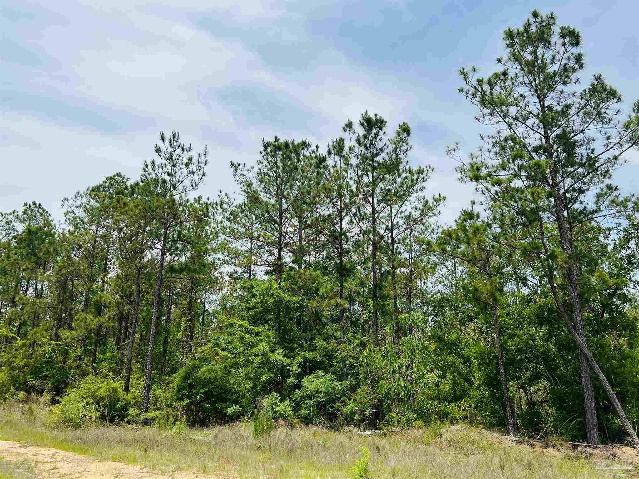 Lot 35 Buffalo Ridge Road Pace, FL 32571 - Photo 10 of 31