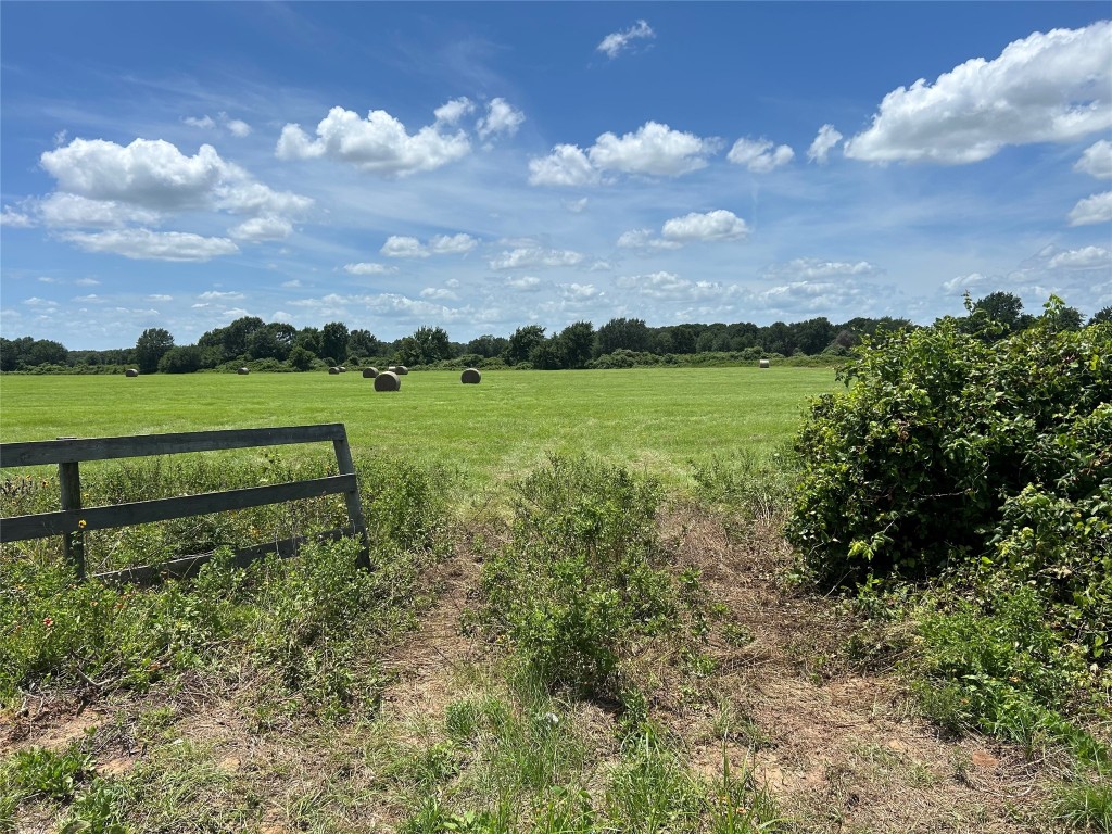 24659 Richards Road Hempstead, TX 77445 - Photo 15 of 15 a view of a yard with table and chairs