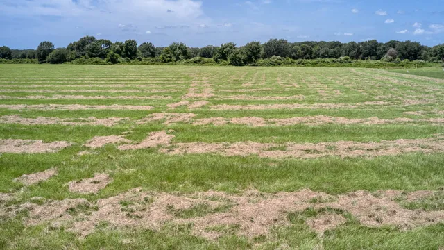 a view of a lake with a house in the background