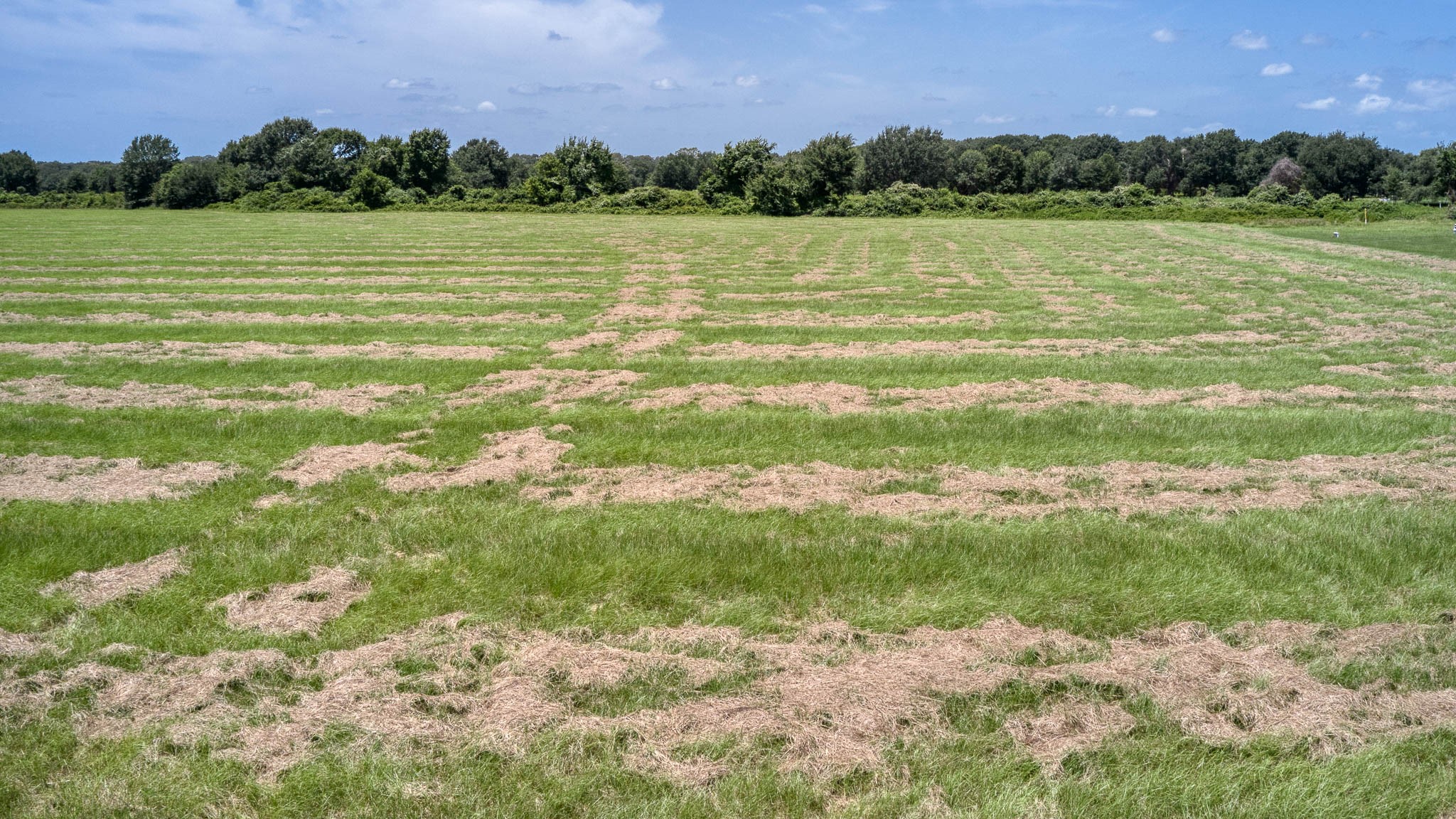 24659 Richards Road Hempstead, TX 77445 - Photo 6 of 15 a view of a lake with a house in the background