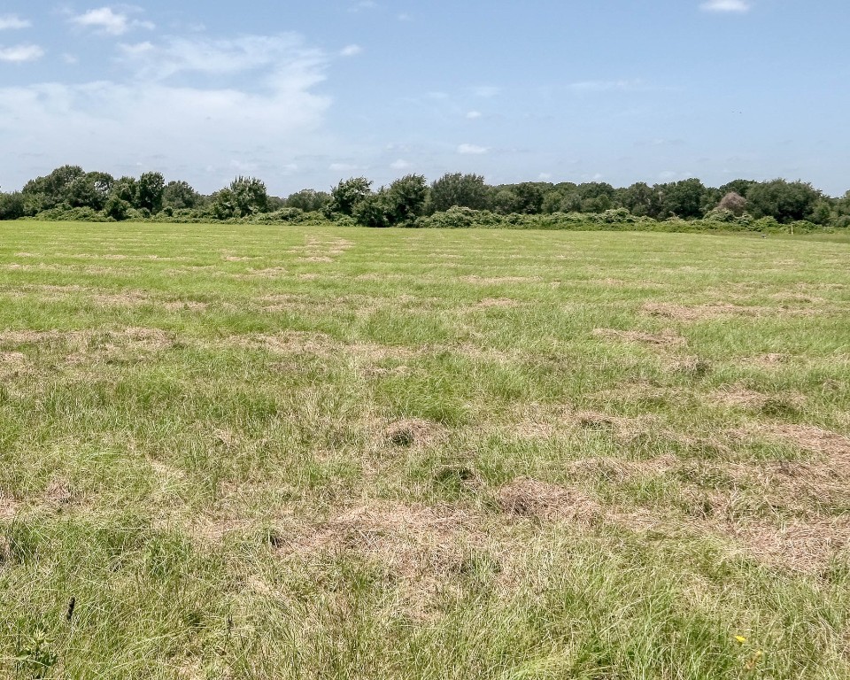 24659 Richards Road Hempstead, TX 77445 - Photo 7 of 15 a view of lake and mountain view