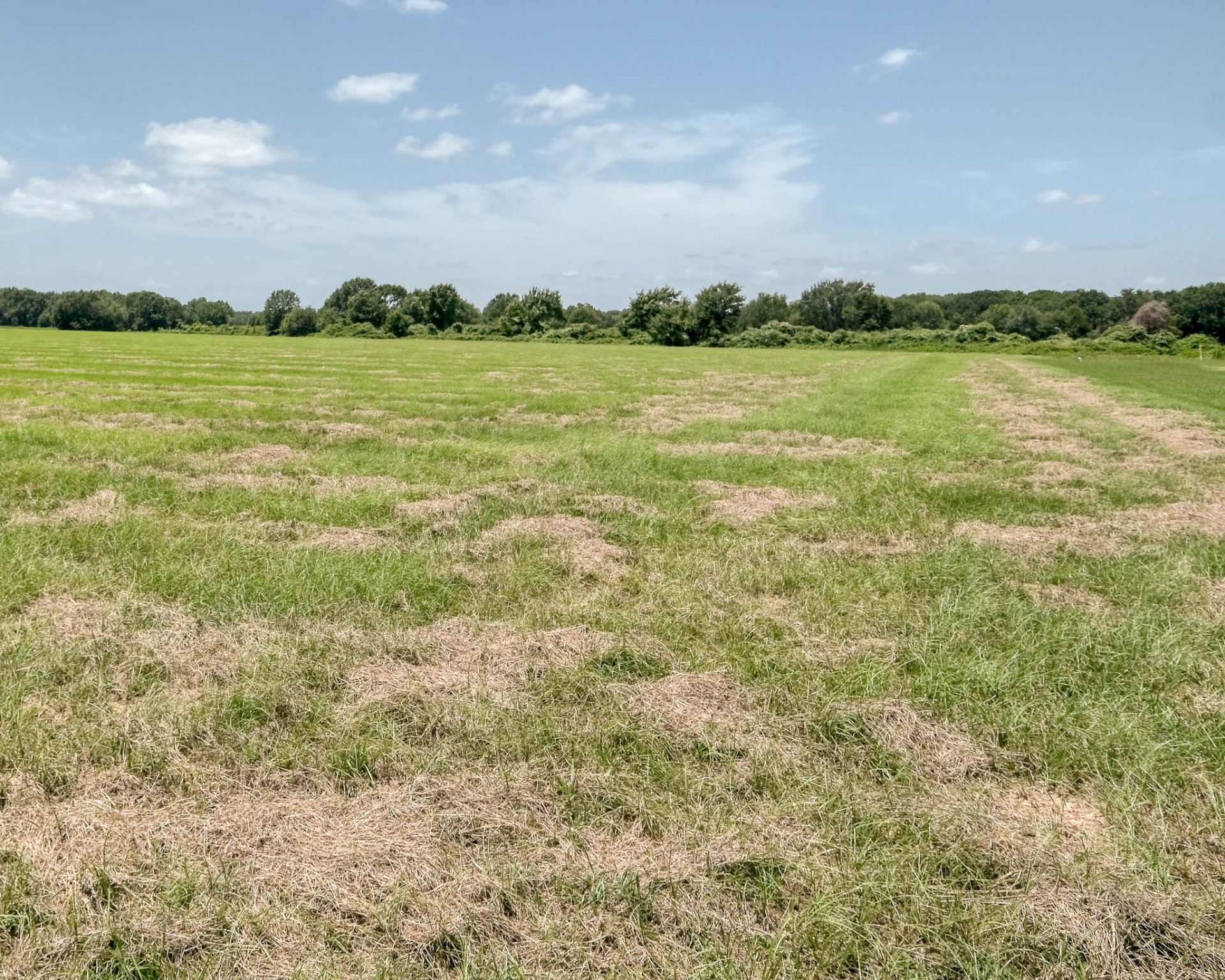 24659 Richards Road Hempstead, TX 77445 - Photo 8 of 15 a view of an ocean and beach