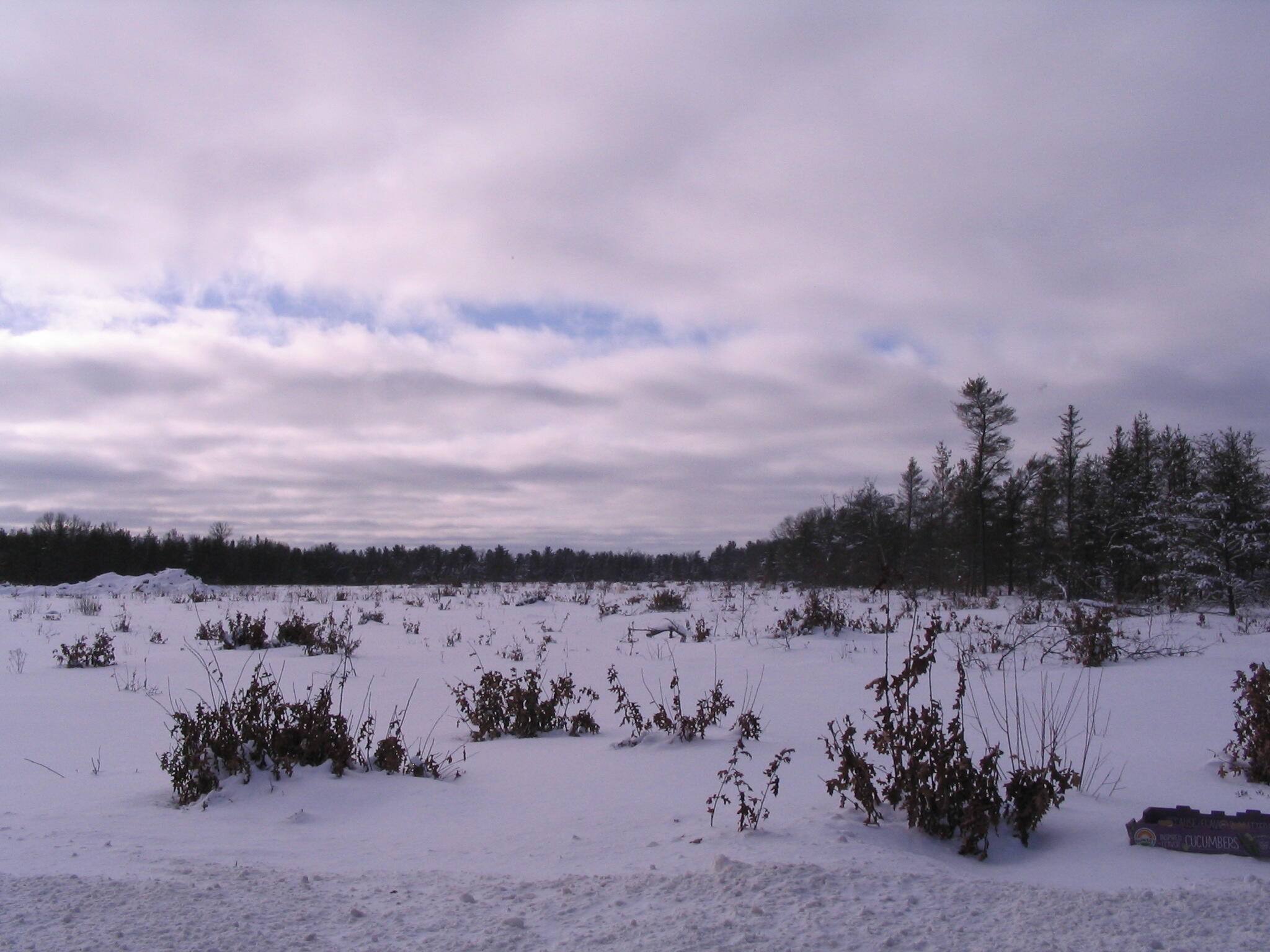2 North Down River Road Grayling, MI 49738 - Photo 7 of 9 Gallery Image 7