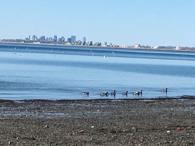 a view of outdoor space with ocean view