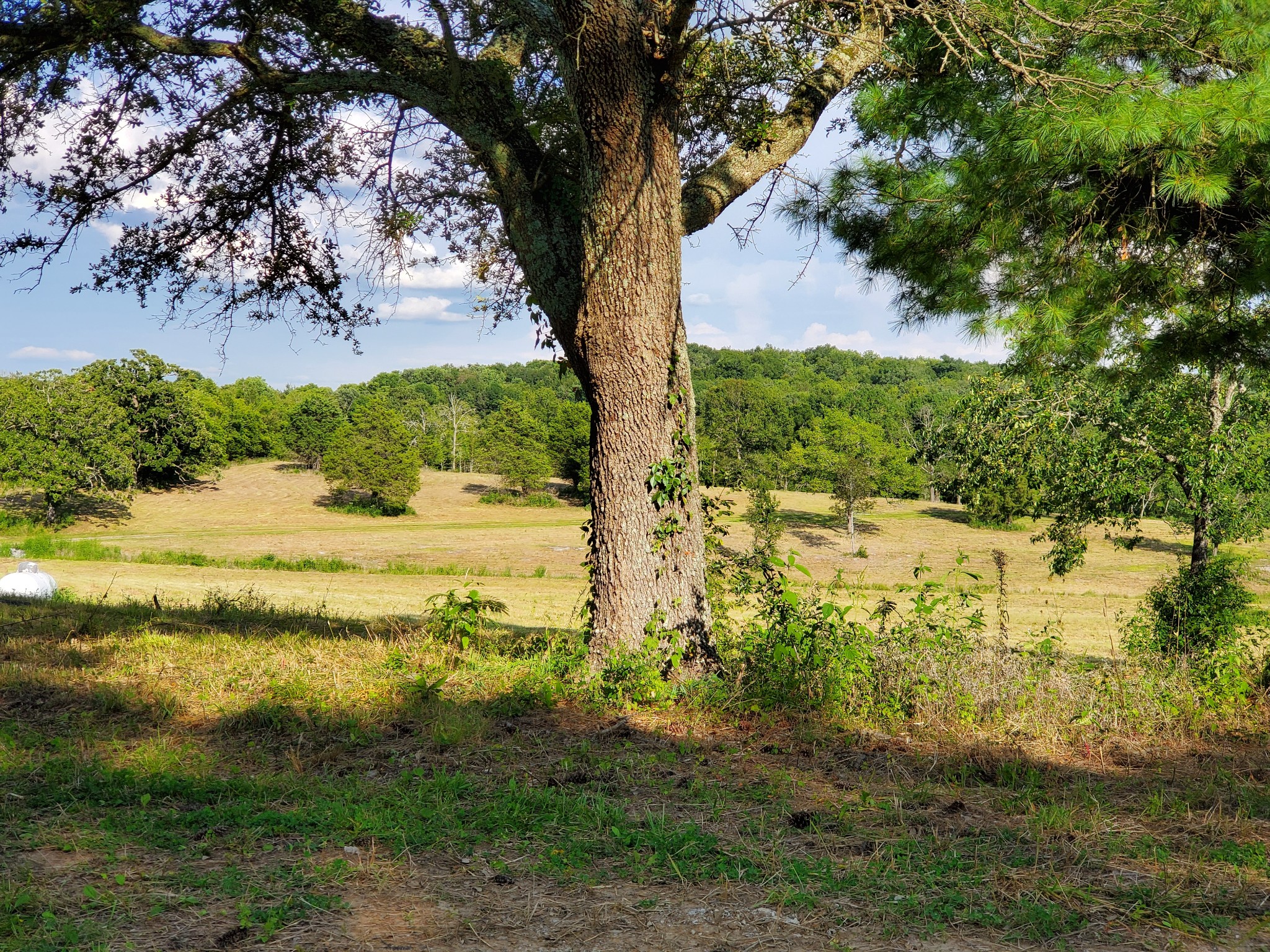 2310 Holloway Road Lebanon, TN 37090 - Photo 2 of 3 a view of lake with tree
