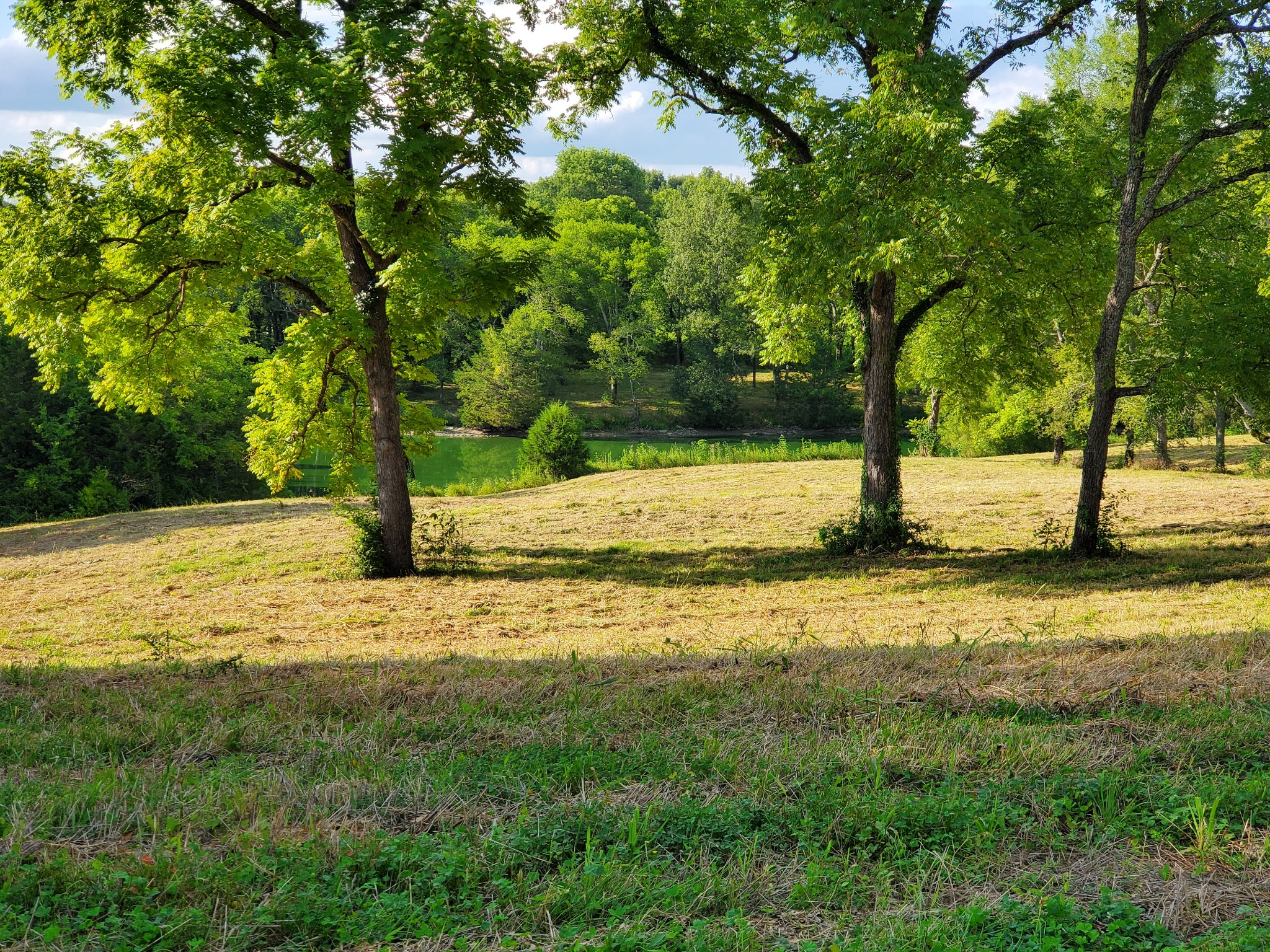 2310 Holloway Road Lebanon, TN 37090 - Photo 3 of 3 a view of a yard with tree s
