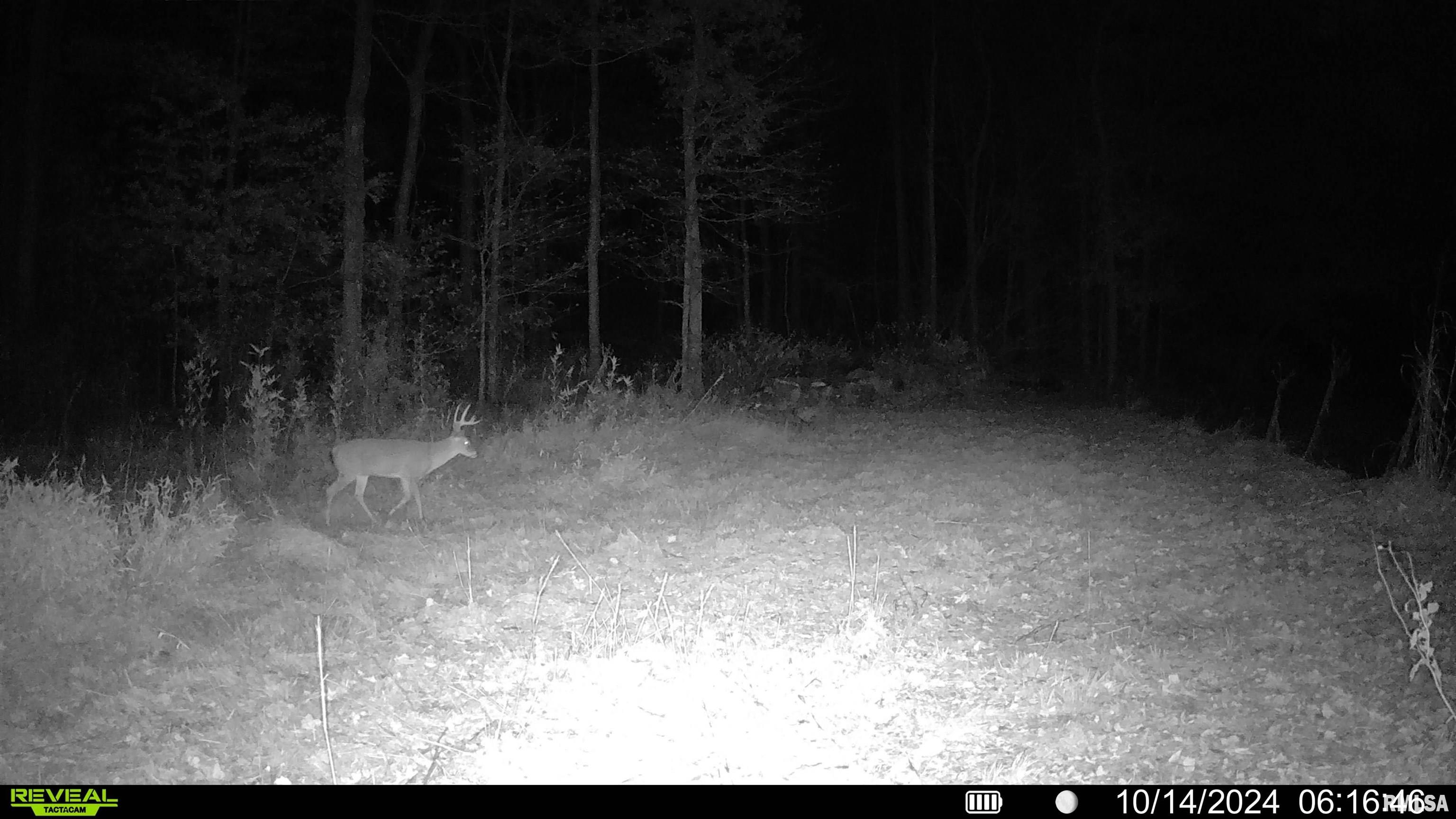 1665 Pulleys Mill Road Goreville, IL 62939 - Photo 10 of 19 Gallery Image 10