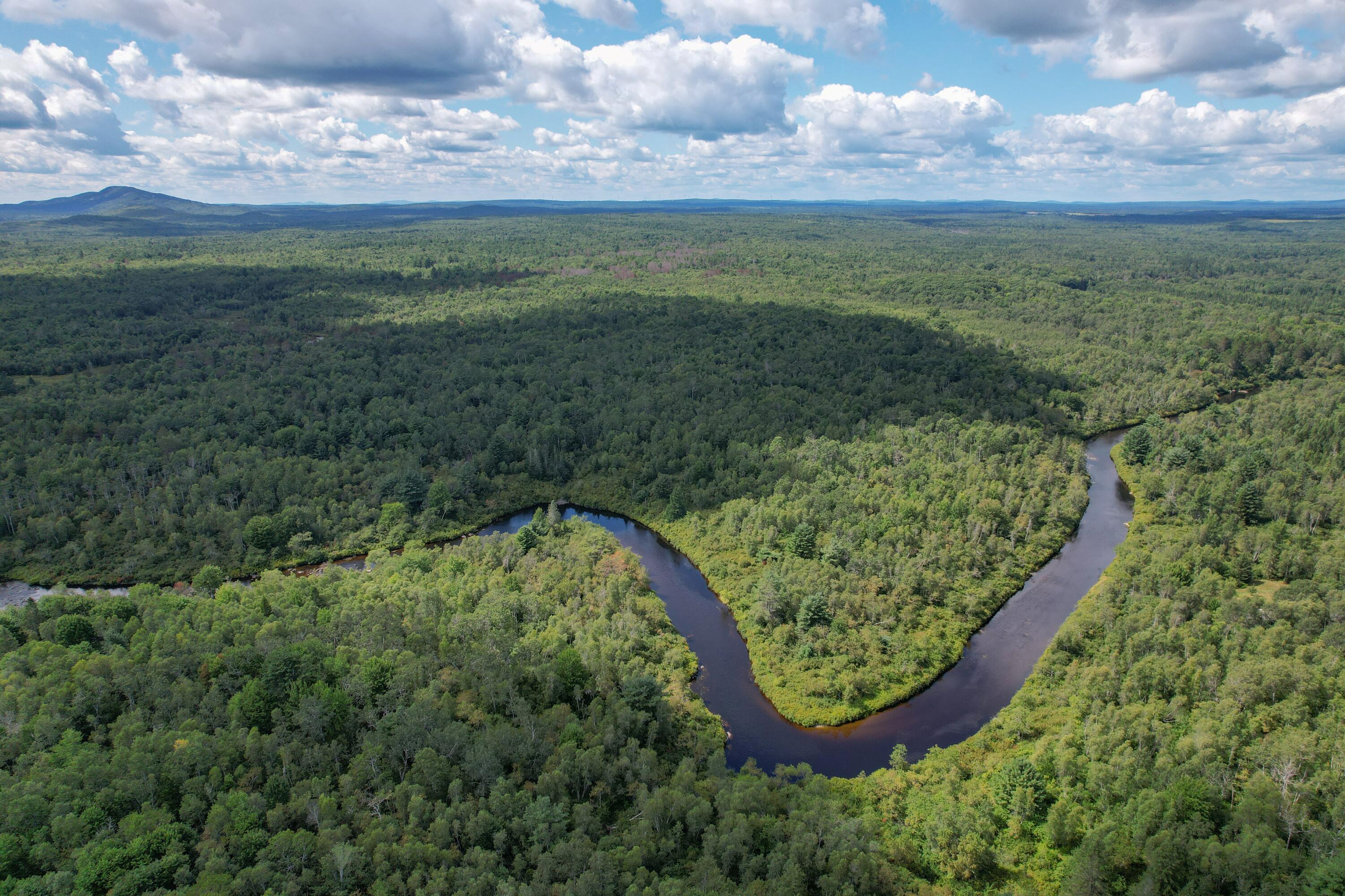 Lot 46 Lane Road Cherryfield, ME 04622 - Photo 3 of 20 Narraguagus
