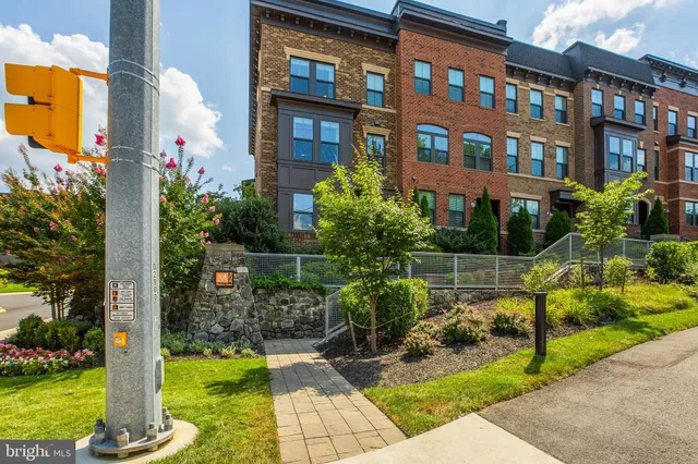 a view of a garden from a patio