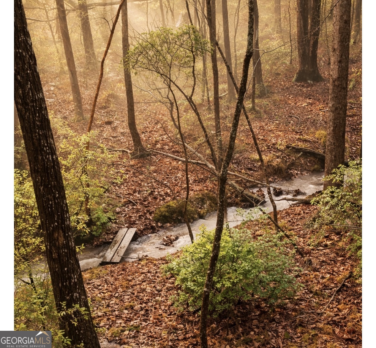 220 Wake Robin Drive Ranger, GA 30734 - Photo 3 of 19