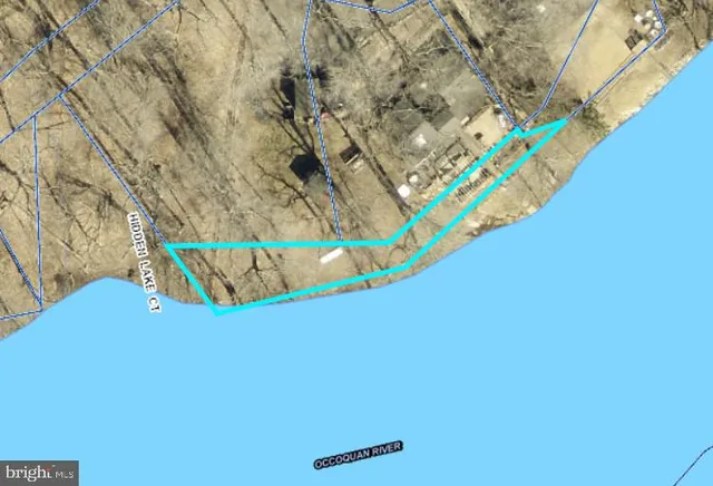 a picture of a room with a small yard