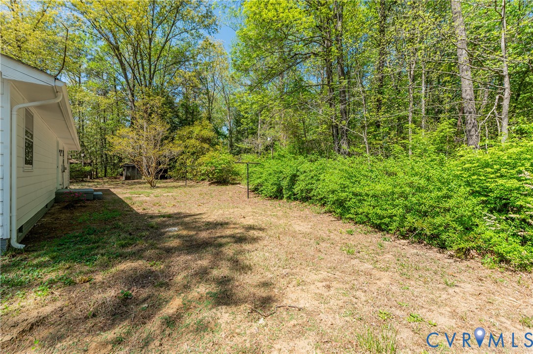 26 Liberty Tree Lane Hanover, VA 23069 - Photo 36 of 38 a view of a yard with plants and large trees
