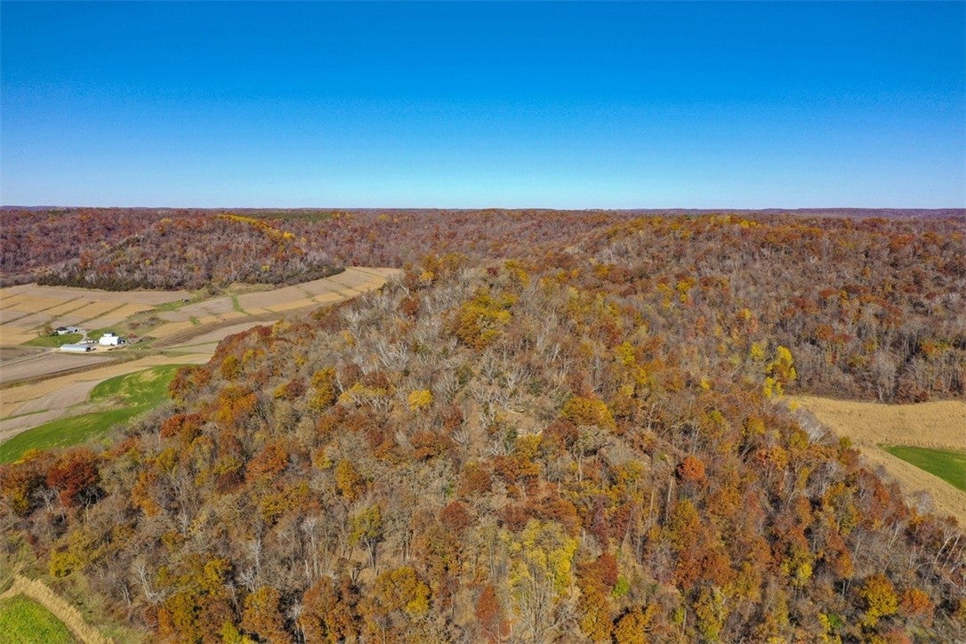 0 County Kk Alma, WI 54610 - Photo 13 of 59 Gallery Image 13