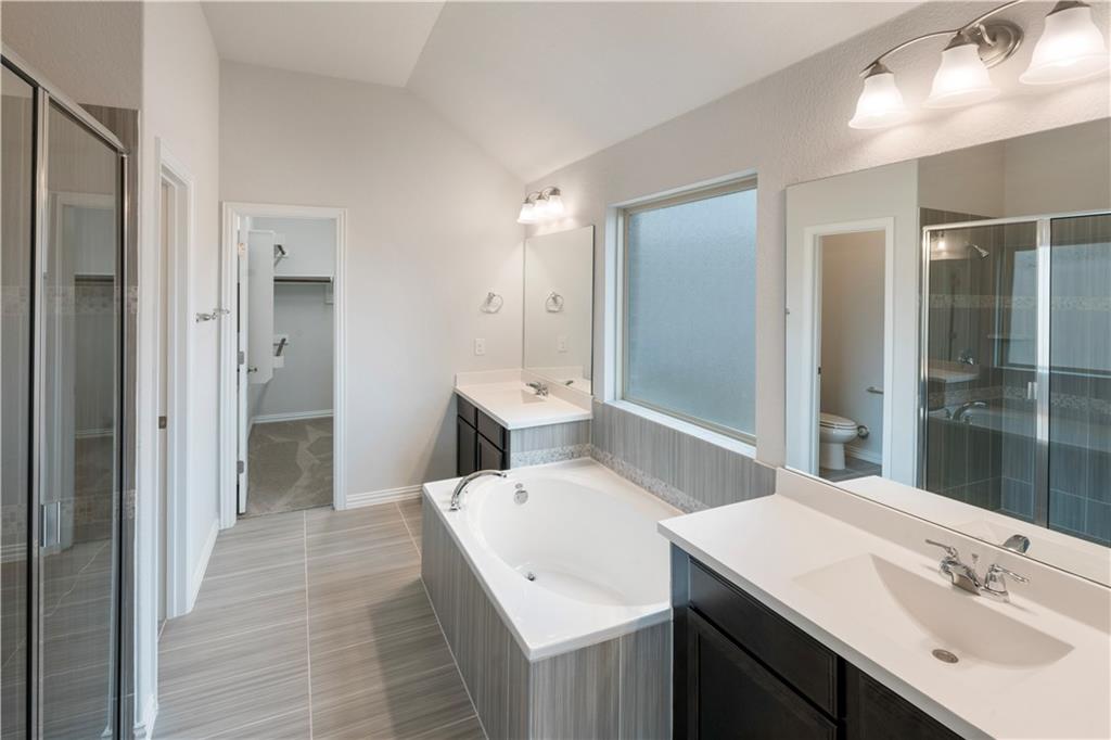 6752 Catania Loop Round Rock, TX 78665 - Photo 13 of 25 Bathroom featuring a shower stall, a bath, vanity, a walk in closet, and vaulted ceiling