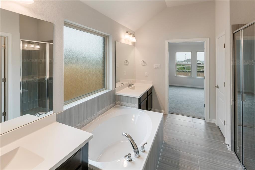 6752 Catania Loop Round Rock, TX 78665 - Photo 15 of 25 Bathroom with vanity, a shower stall, a garden tub, and vaulted ceiling