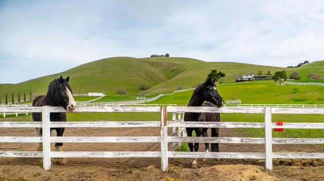 $12,499,000 | 6033 Dagnino Road, Livermore, CA 94551