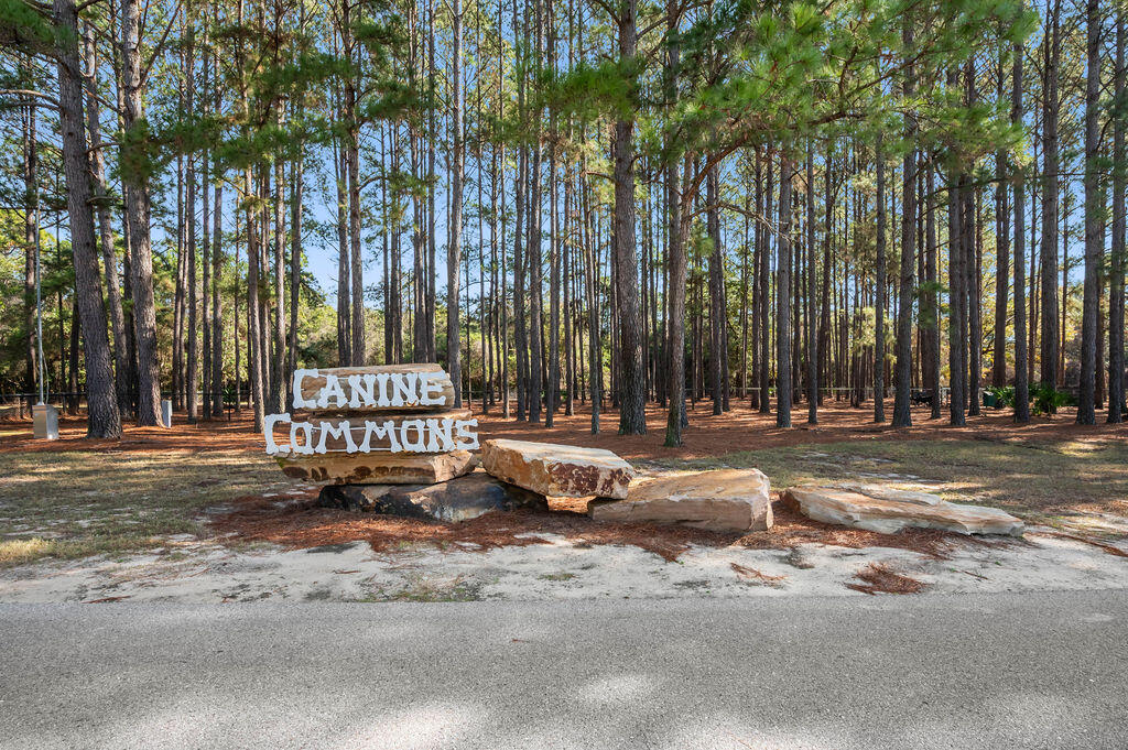 242 Cornelia Street Freeport, FL 32439 - Photo 48 of 68 HammockBay9