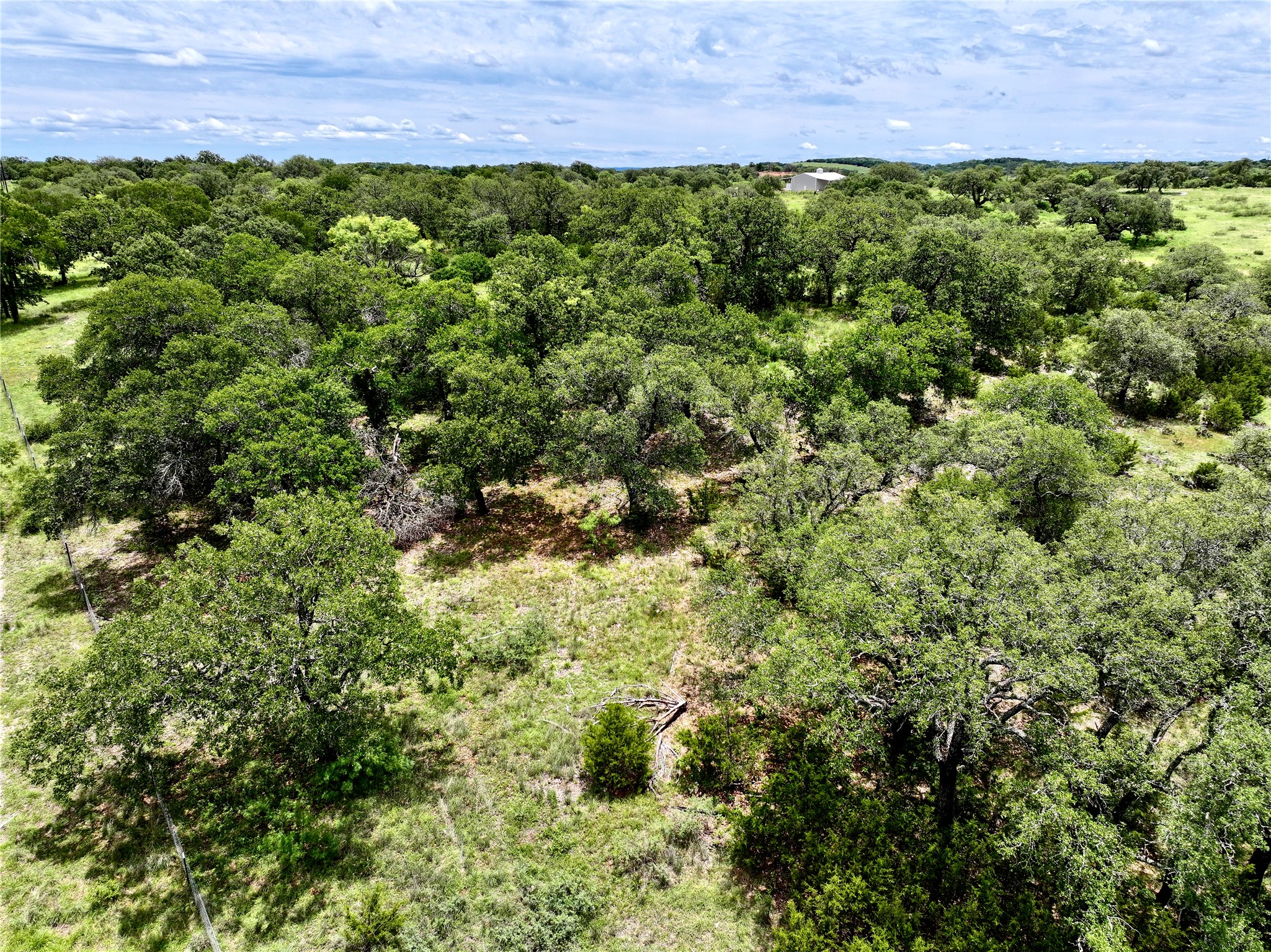 209 Rocky Holw Road San Saba, TX 76877 - Photo 5 of 8 Aerial view of a forest