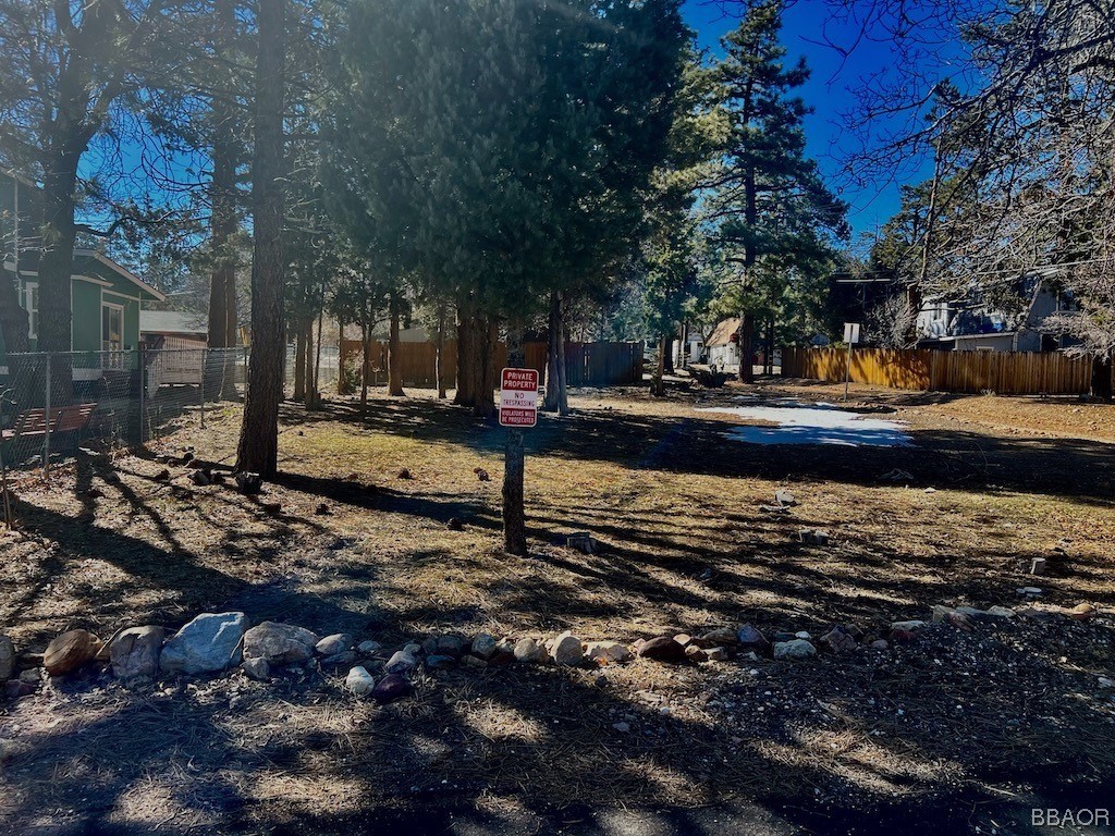 478 Cedar Lane Sugarloaf, CA 92386 - Photo 1 of 4 a view of a yard with plants