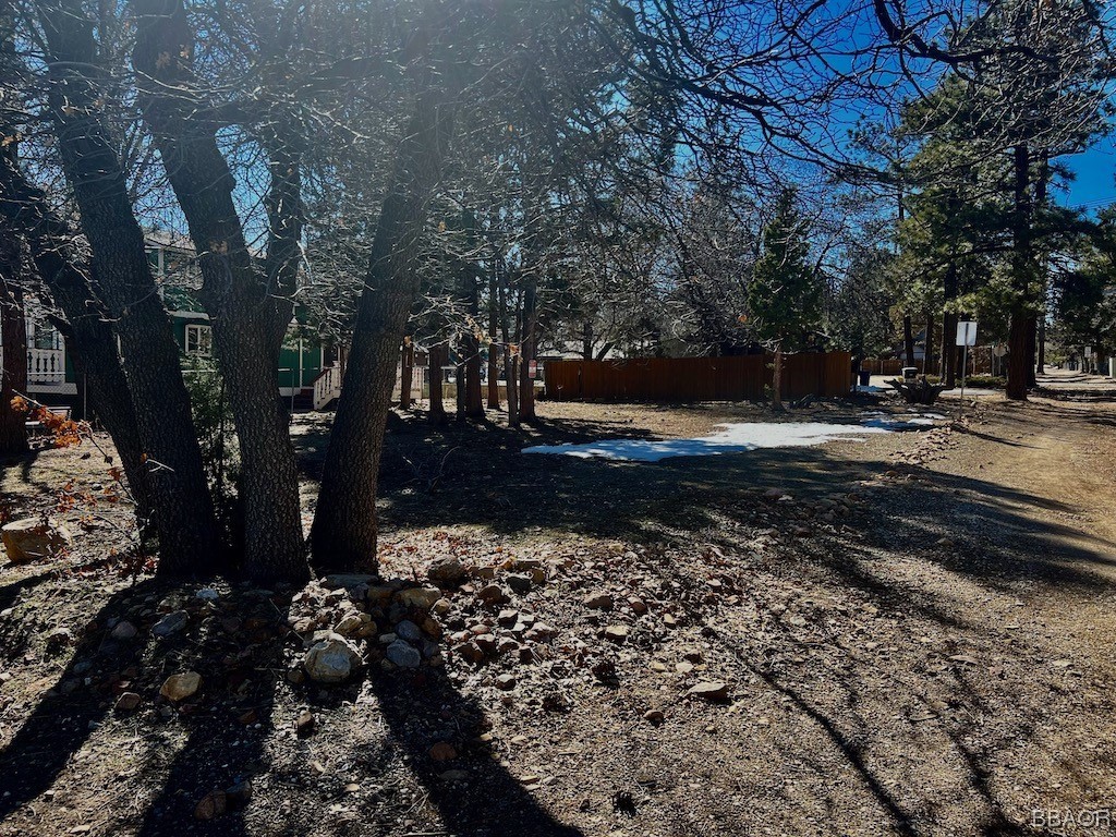 478 Cedar Lane Sugarloaf, CA 92386 - Photo 2 of 4 a view of a yard with trees