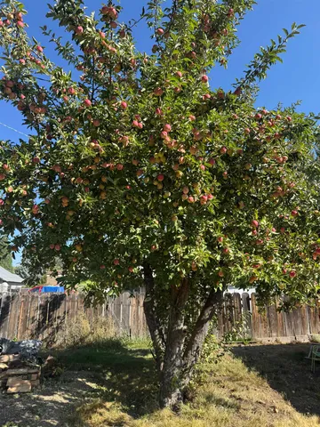 $212,000 | 330 2nd Avenue, Chester, CA 96020