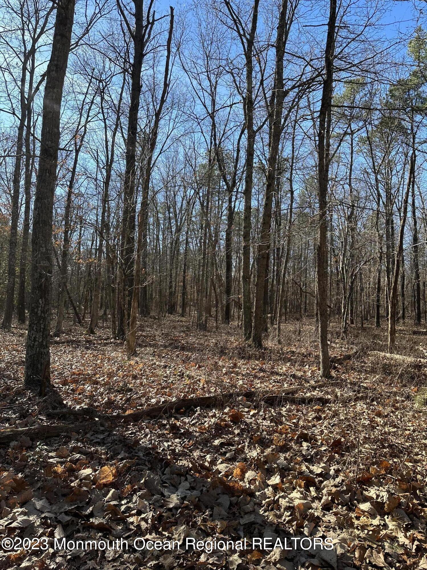 a view of a yard with trees