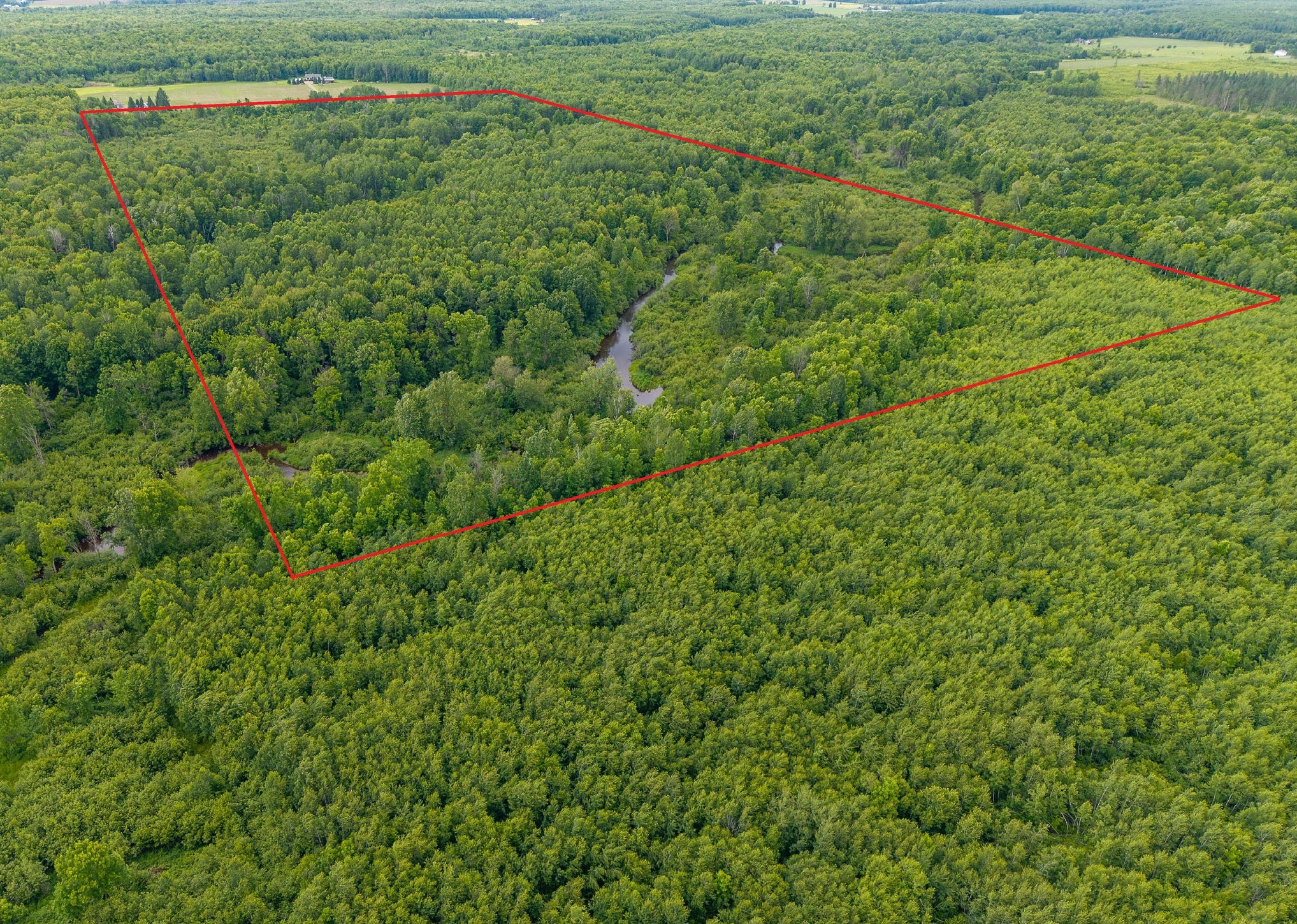 0 Walrath Road Glen Flora, WI 54526 - Photo 5 of 6