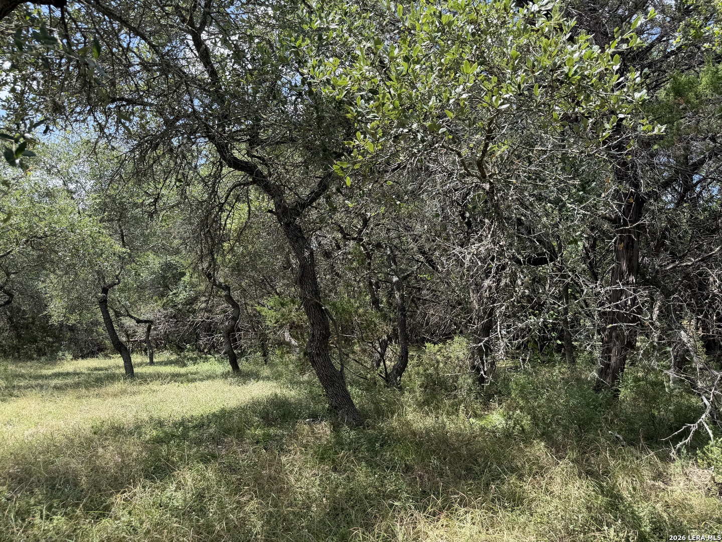 180 Rosenberry Bulverde, TX 78163 - Photo 14 of 28 Gallery Image 14