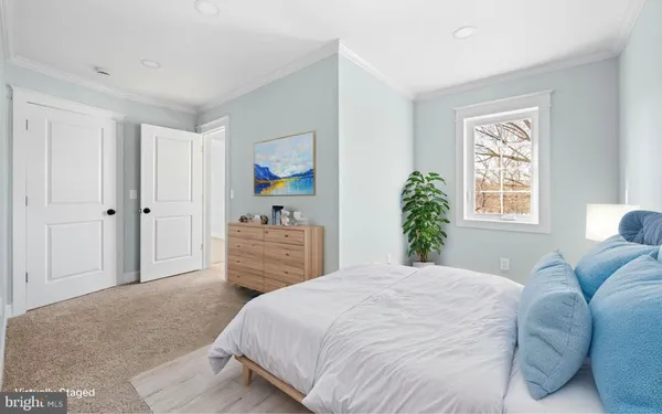 a bedroom with a bed and a dresser with the potted plant