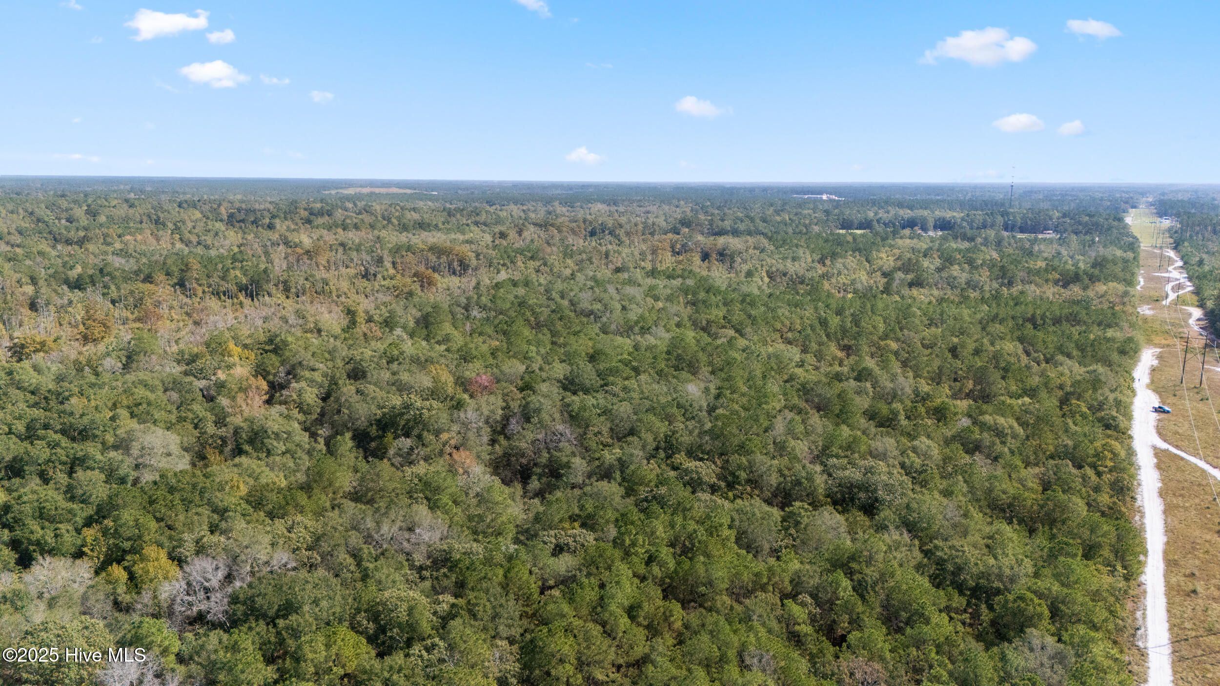 0 Green Swamp Rd Road Northwest Supply, NC 28462 - Photo 15 of 35 10_dji_20251009093625_0014_d
