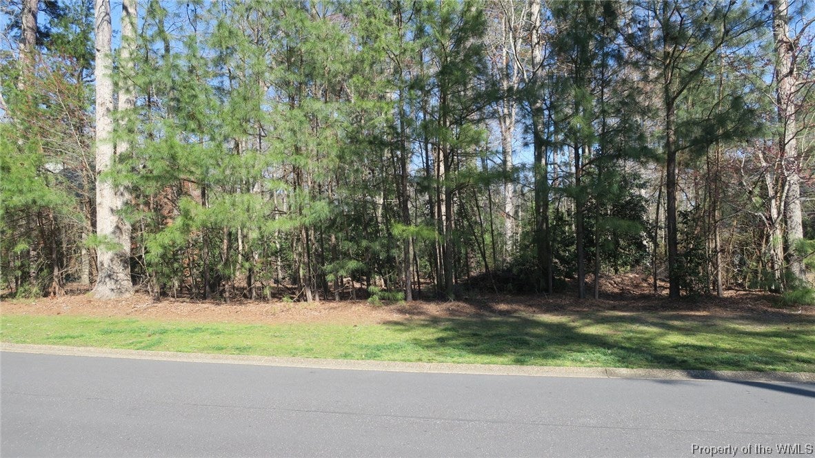 3017 South Freeman Road Williamsburg, VA 23185 - Photo 12 of 12 Gallery Image 12
