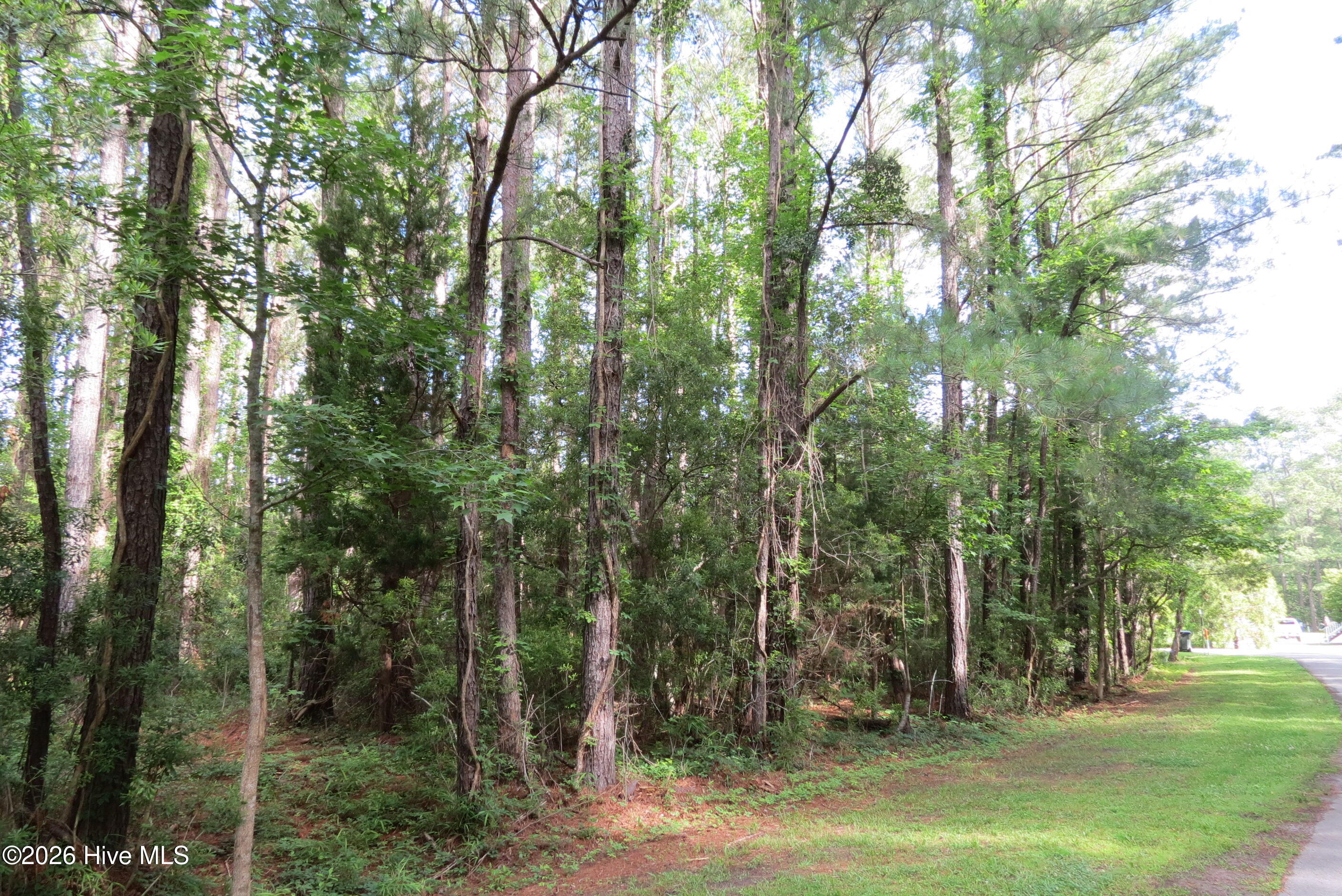 20 Teal Road Merritt, NC 28556 - Photo 15 of 22 IMG_2939