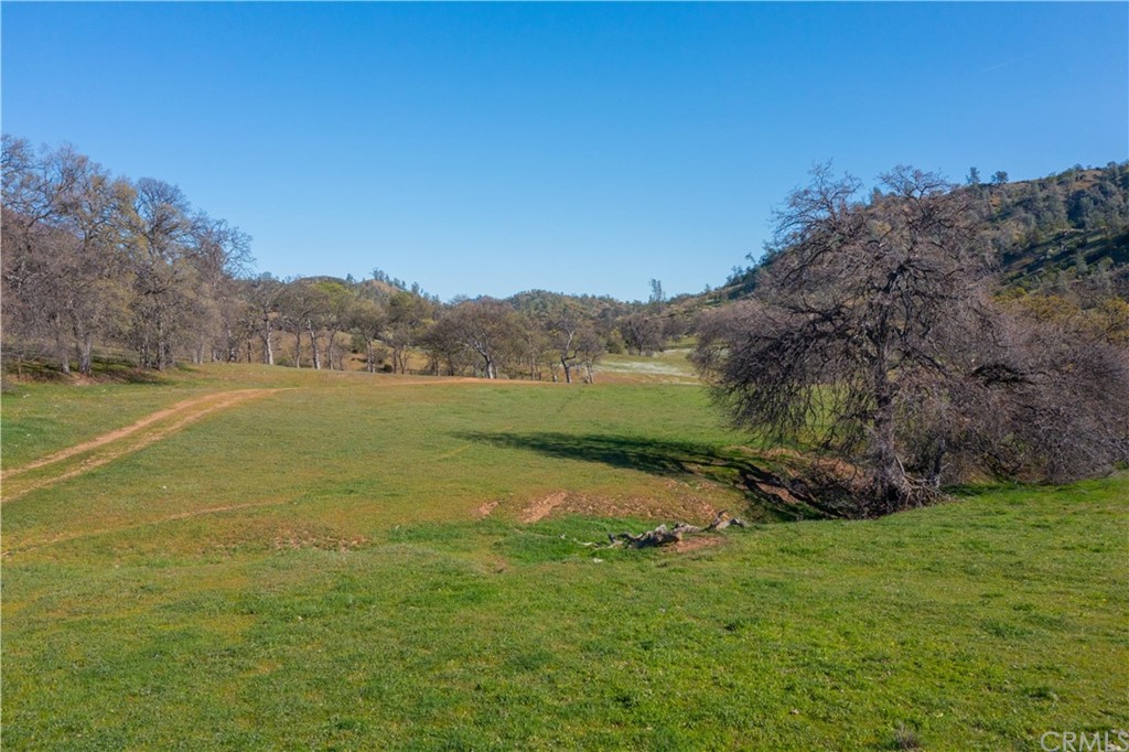 11205 Toomes Camp Road Paskenta, CA 96074 - Photo 1 of 1 a view of a field with an ocean