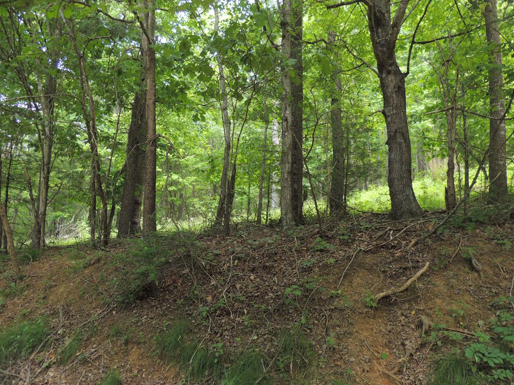 Tbd Turkey Knob Road, Unit 12 13 Independence, VA 24348 - Photo 1 of 7 Gallery Image 1