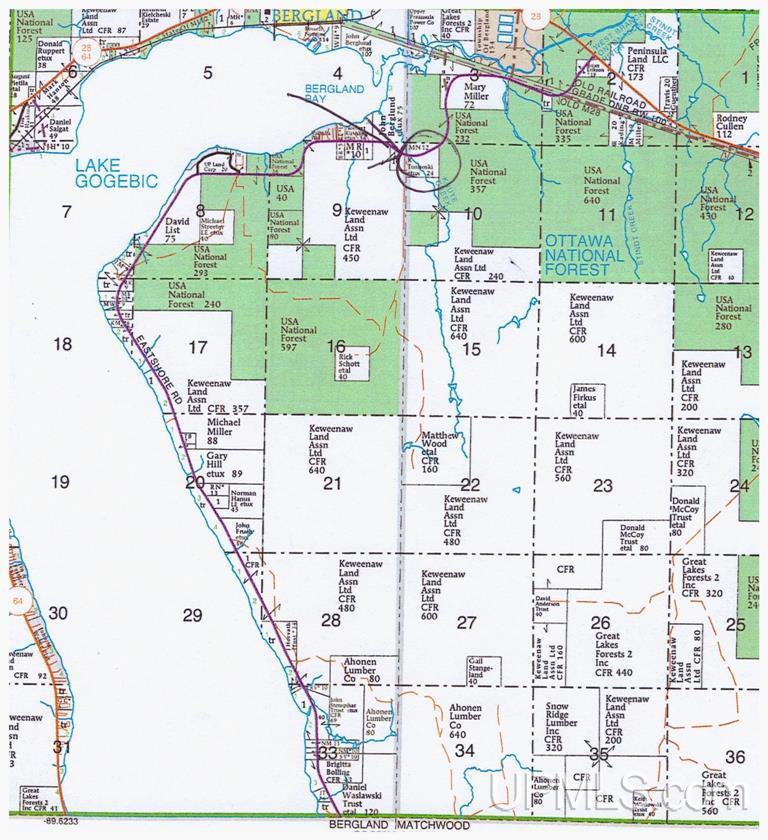 East Shore Road Marenisco, MI 49947 - Photo 12 of 12