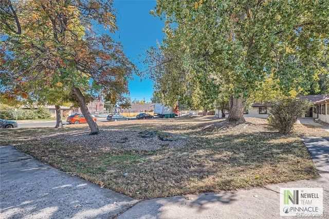 a view of a yard with tree s