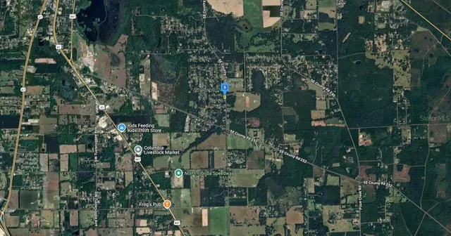 a close up of a plant in a garden