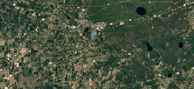 a close up of a plant