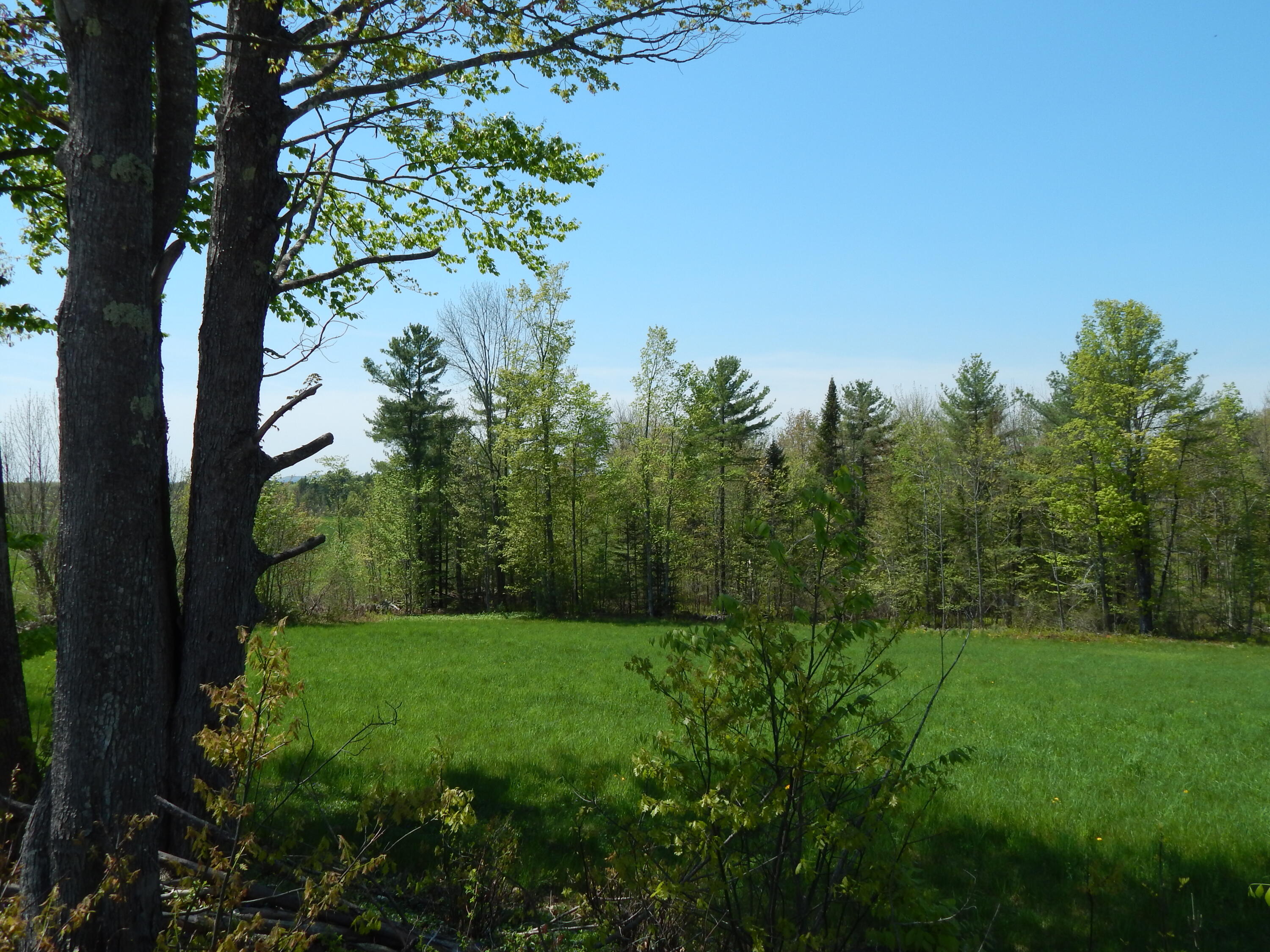 592 Maple Ridge Road Harrison, ME 04040 - Photo 2 of 6 DSCN5022