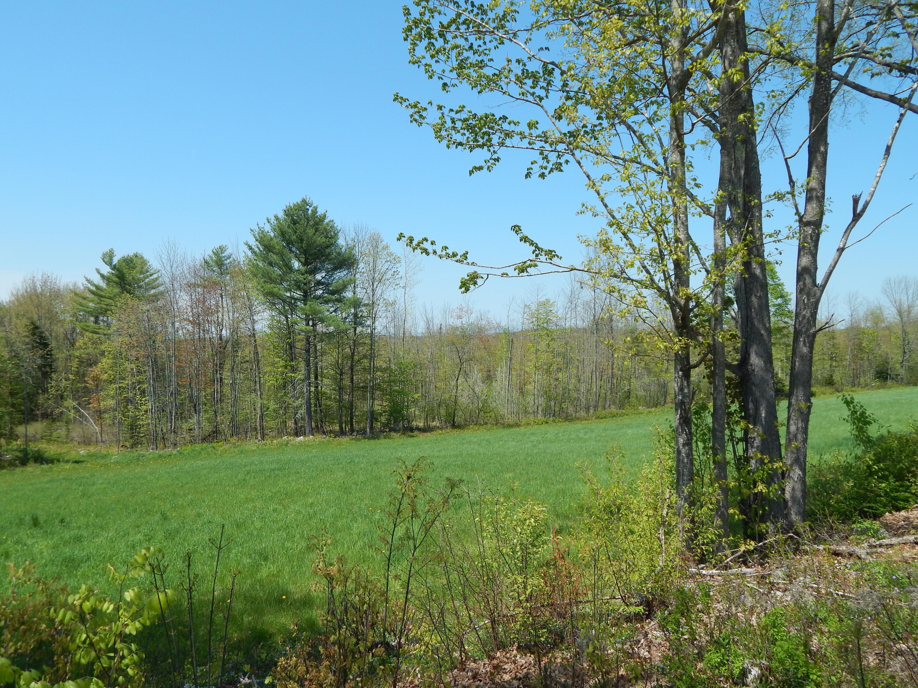 592 Maple Ridge Road Harrison, ME 04040 - Photo 3 of 6 DSCN5023