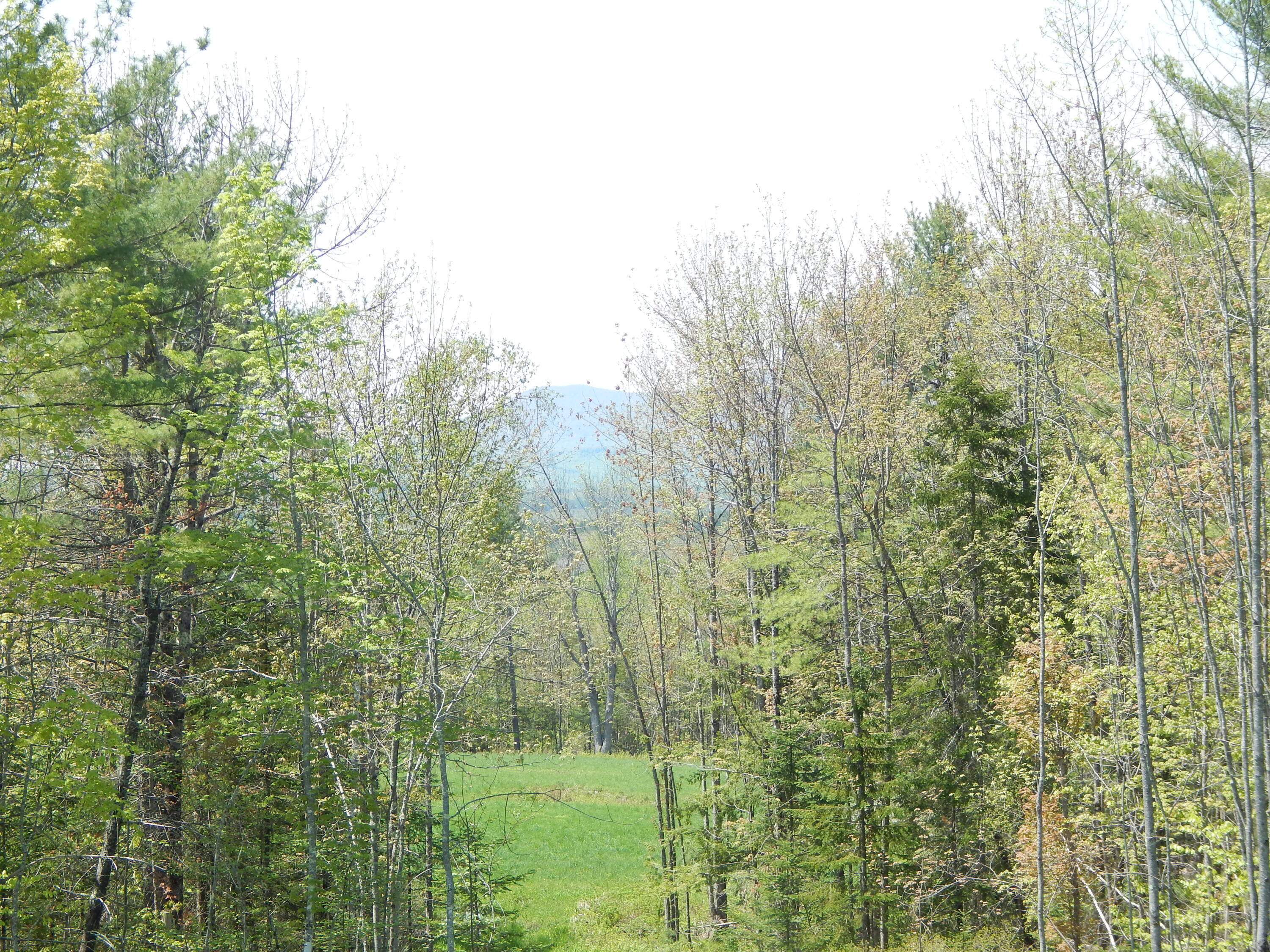 592 Maple Ridge Road Harrison, ME 04040 - Photo 4 of 6 DSCN5024