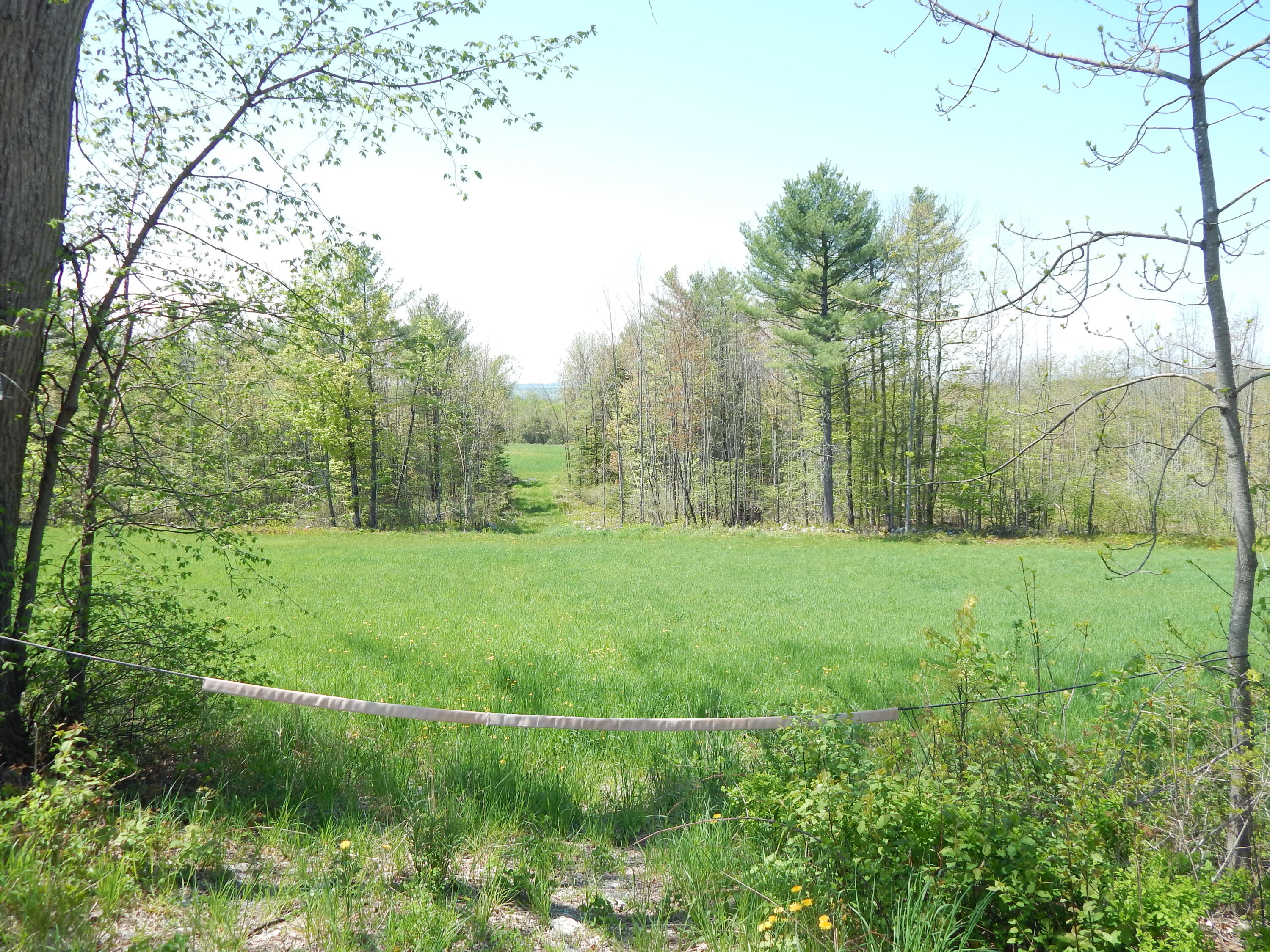592 Maple Ridge Road Harrison, ME 04040 - Photo 6 of 6 DSCN5026