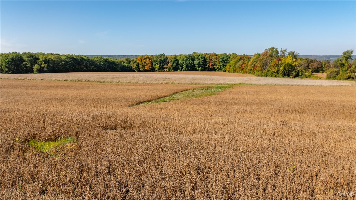L11 Hall Road Moravia, NY 13118 - Photo 10 of 19