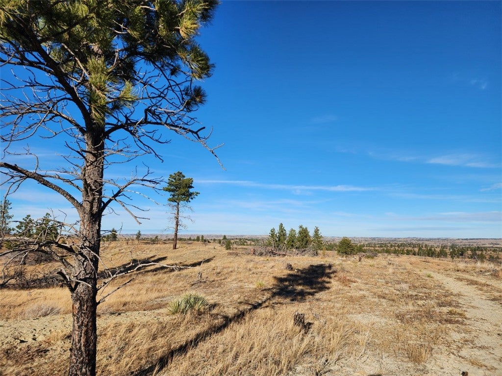 669 Old Stage Road Mosby, MT 59058 - Photo 4 of 4 Behind trailer looking towards back of property