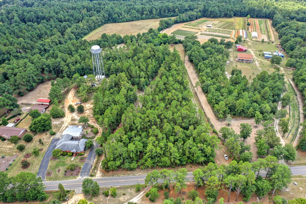 182 New Bridge Road Aiken, SC 29801 - Photo 3 of 18