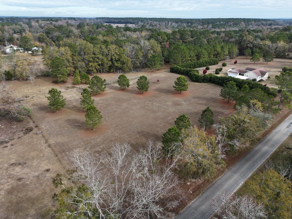 2-acr Lewis Road Cairo, GA 39828 - Photo 4 of 24 Gallery Image 4