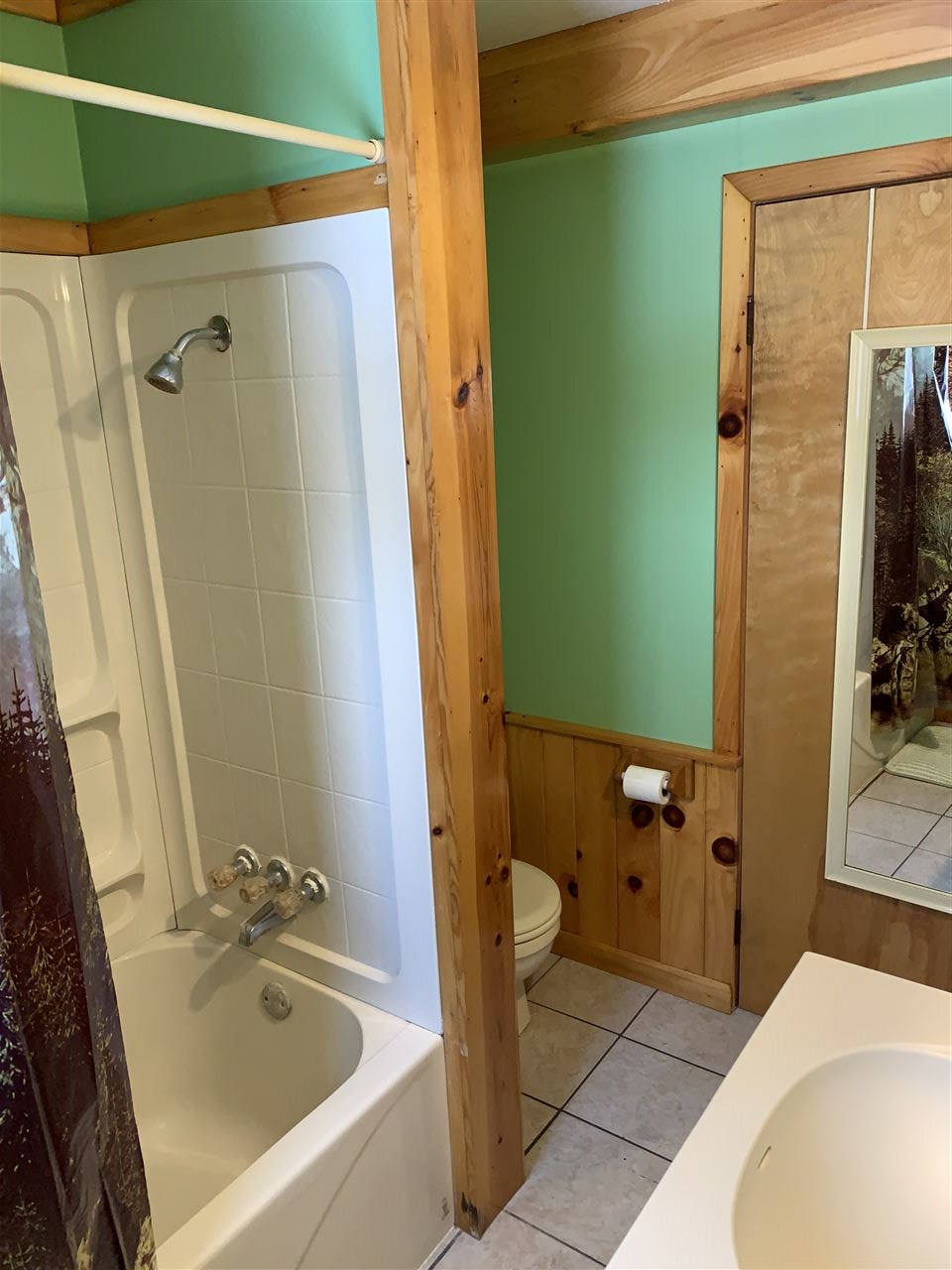 11700 Fergus Road St. Charles, MI 48655 - Photo 14 of 40 50000262-13.JPG